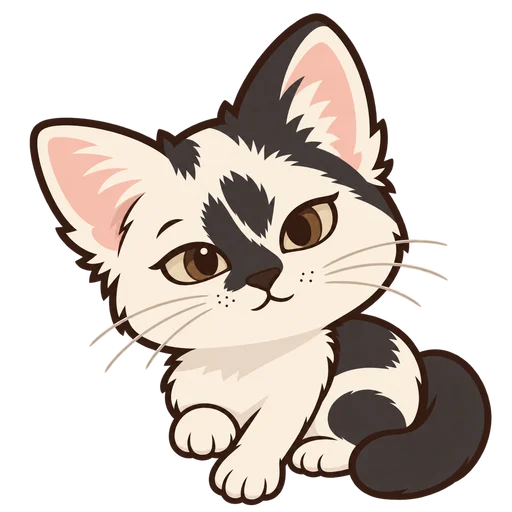 Lola, una gatita blanca y negra de expresión dulce.